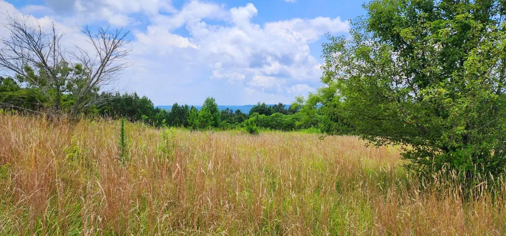 5199 Burkett Chapel Road Whitwell, TN 37397