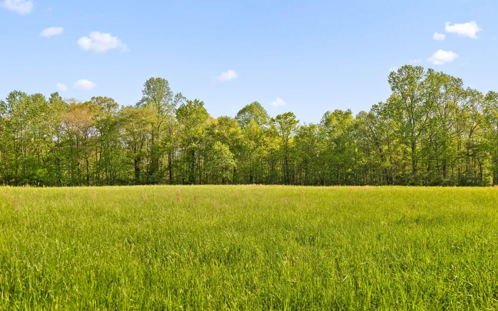 384 Clouse Hill Road Tracy City, TN 37387