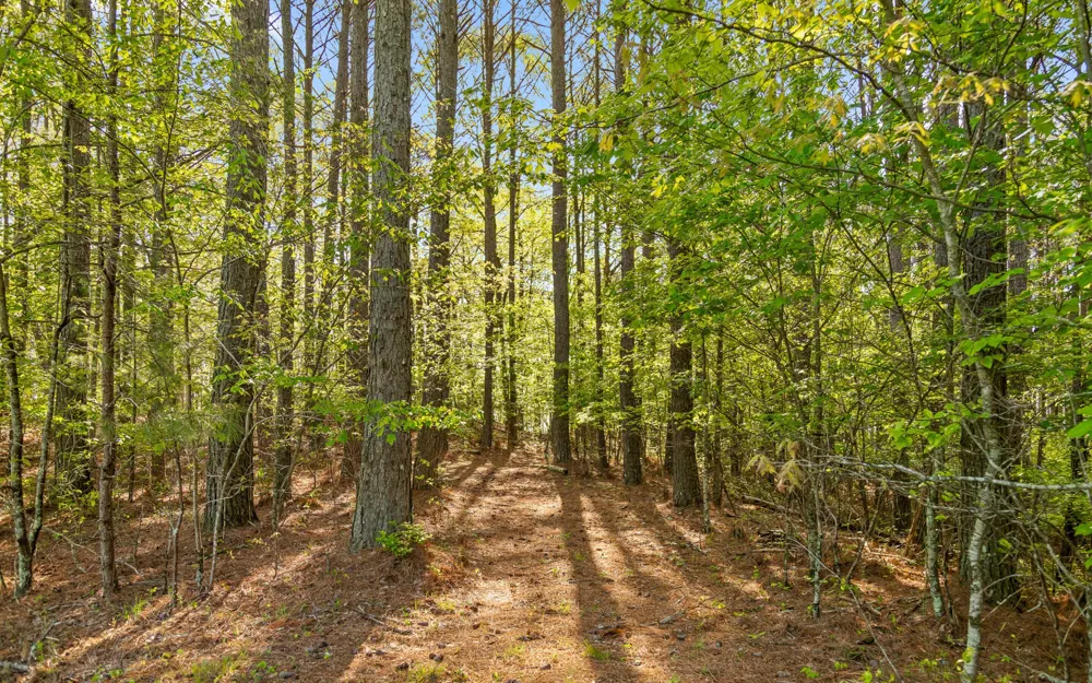 384 Clouse Hill Road Tracy City, TN 37387