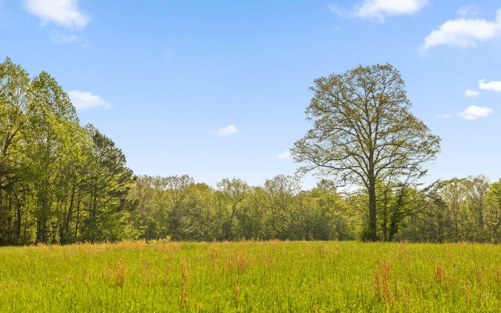 384 Clouse Hill Road Tracy City, TN 37387