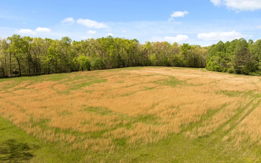 384 Clouse Hill Road Tracy City, TN 37387