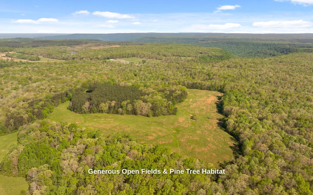 384 Clouse Hill Road Tracy City, TN 37387