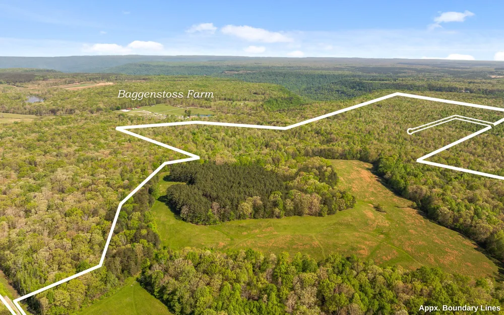 384 Clouse Hill Road Tracy City, TN 37387