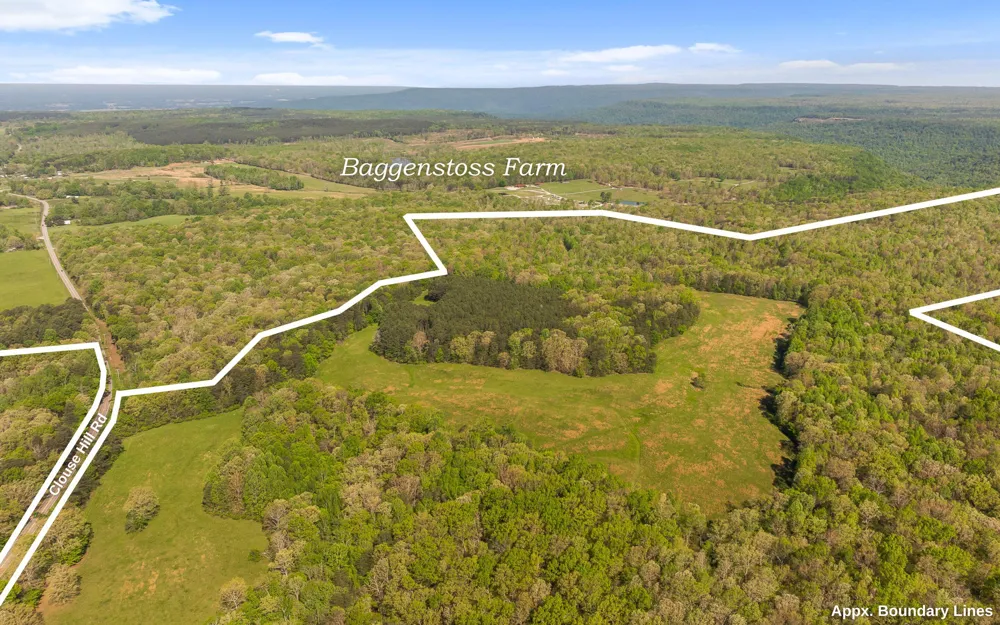 384 Clouse Hill Road Tracy City, TN 37387