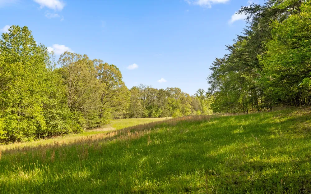 384 Clouse Hill Road Tracy City, TN 37387