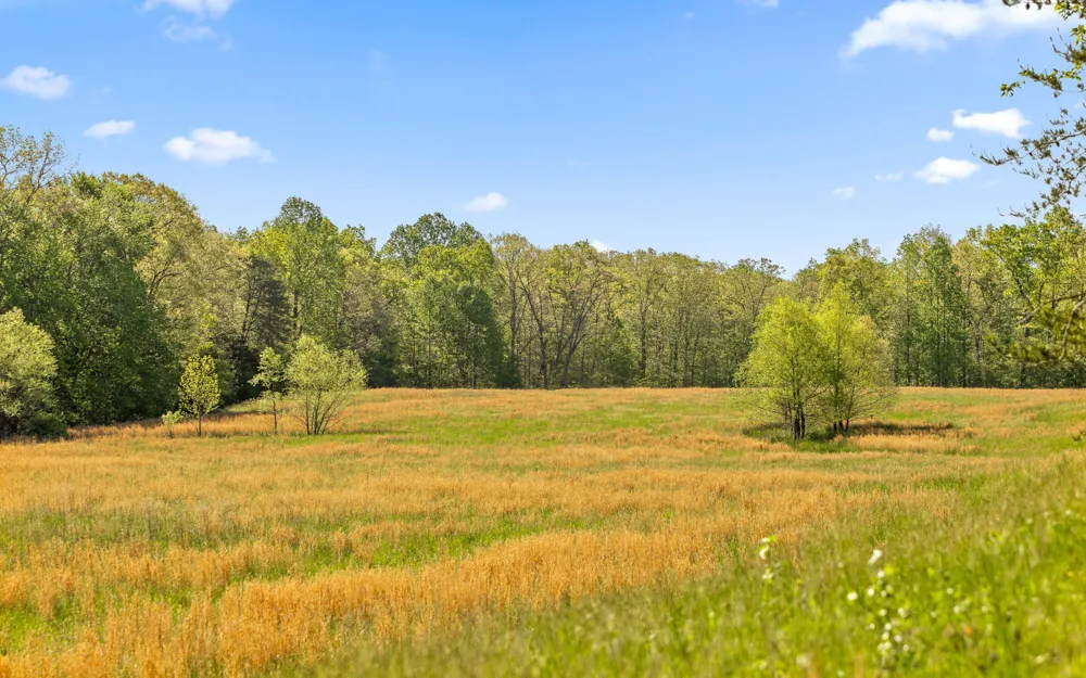 384 Clouse Hill Road Tracy City, TN 37387