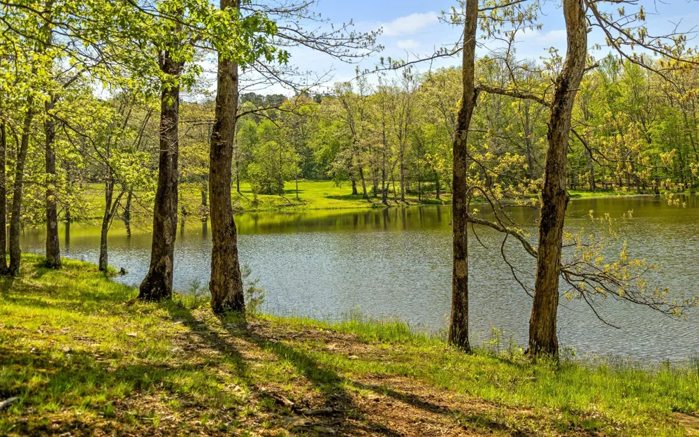 384 Clouse Hill Road Tracy City, TN 37387