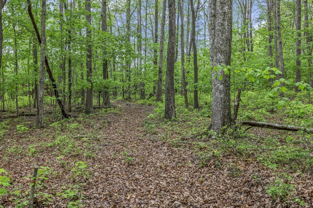 1034 Gadsden Way Spencer, TN 38585