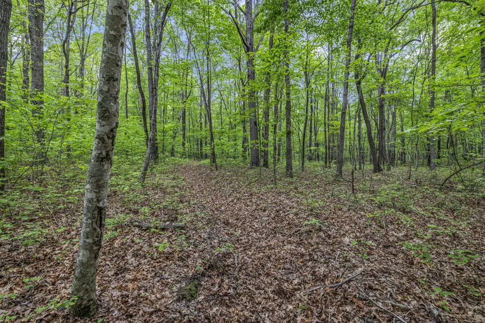 1034 Gadsden Way Spencer, TN 38585