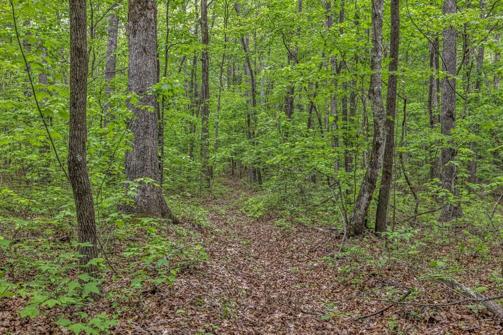 1034 Gadsden Way Spencer, TN 38585