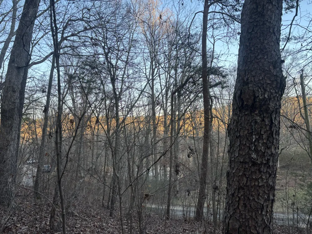Twin Lakes Road LaFayette, GA 30728