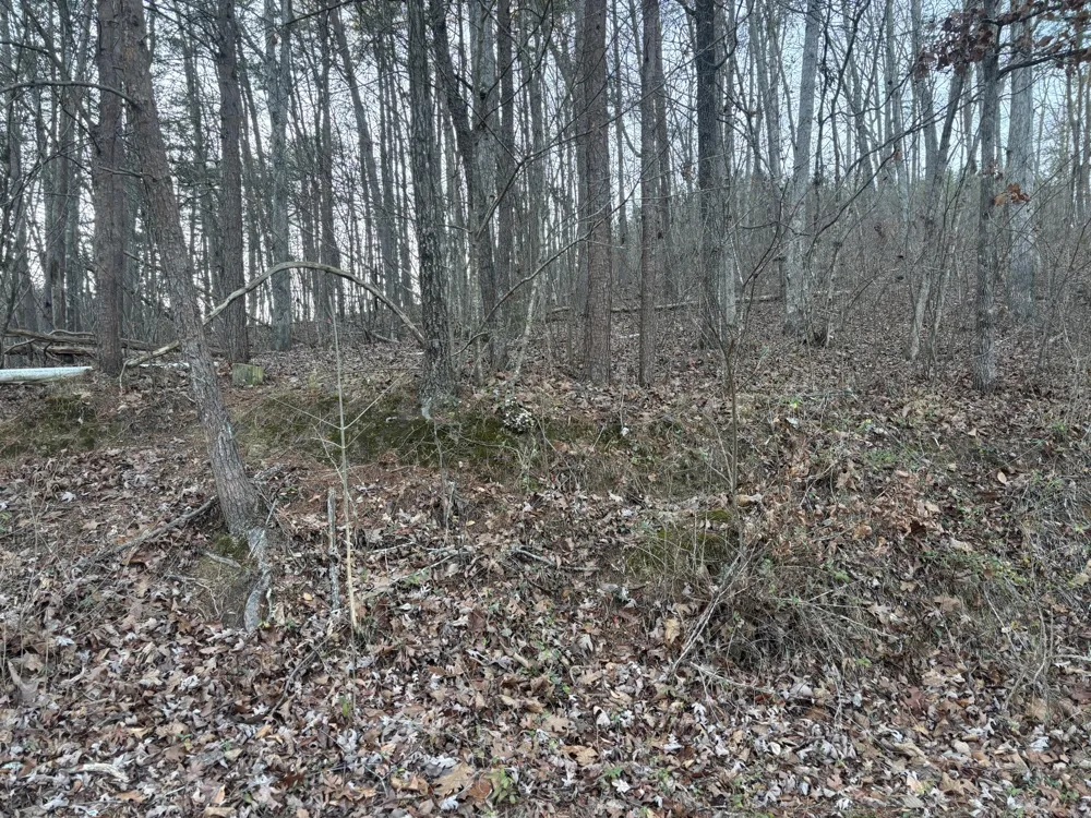 Twin Lakes Road LaFayette, GA 30728