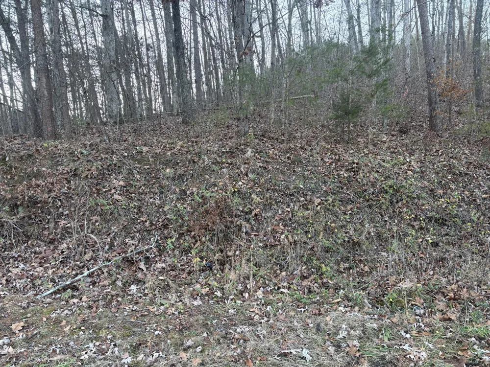 Twin Lakes Road LaFayette, GA 30728