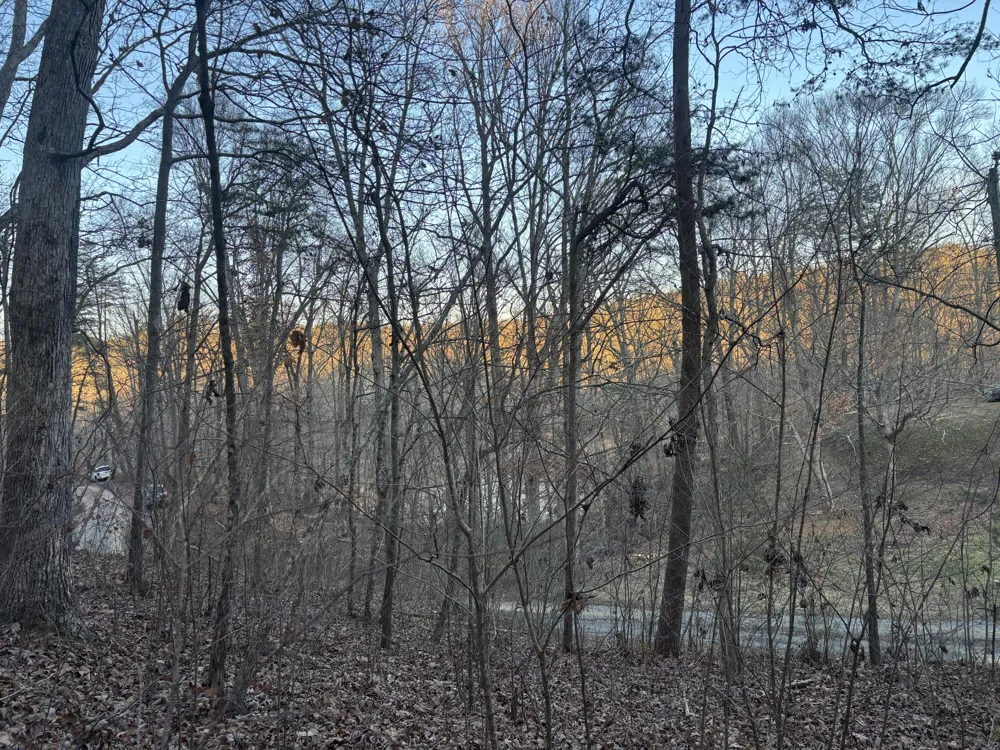Twin Lakes Road LaFayette, GA 30728