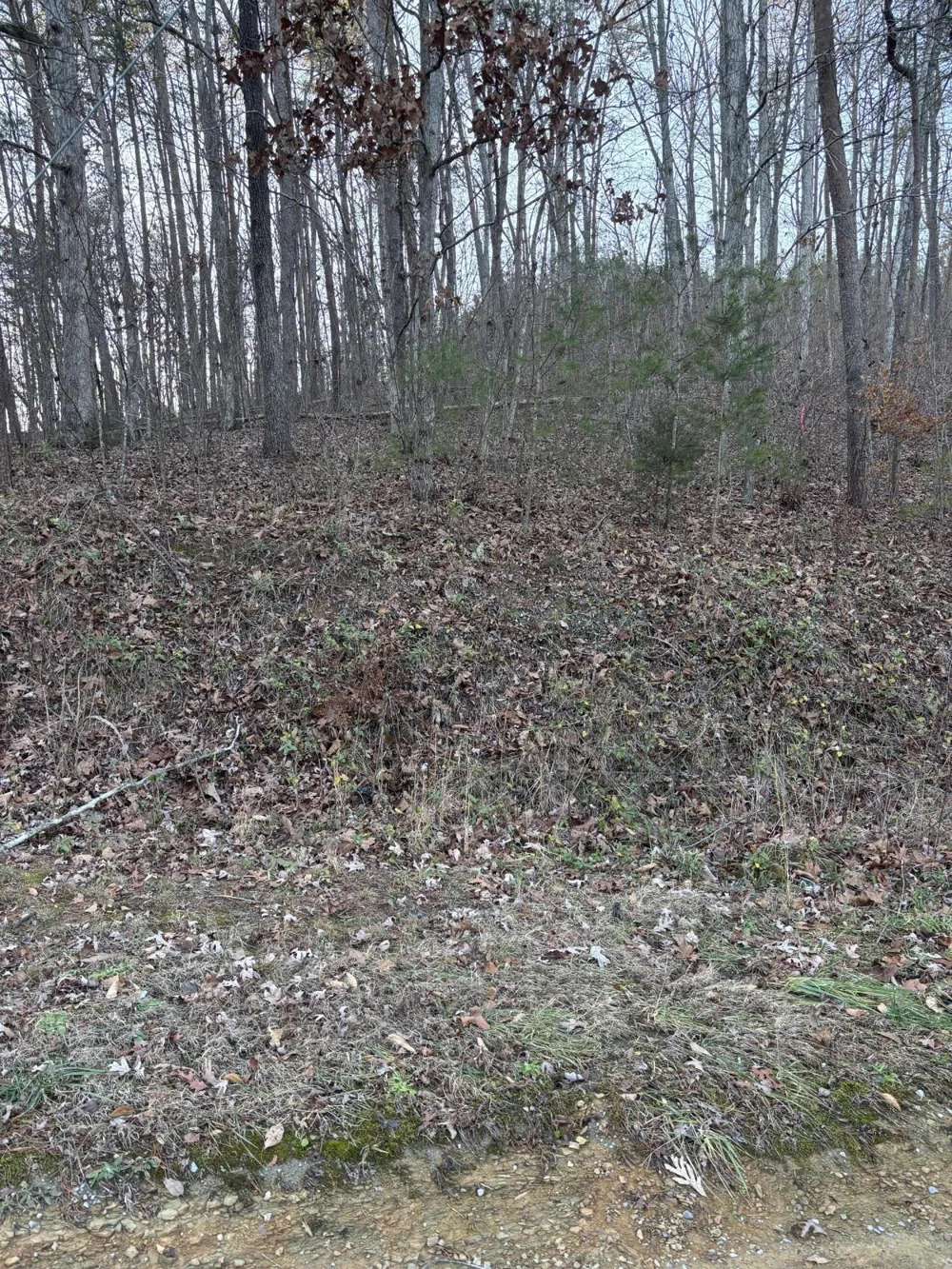 Twin Lakes Road LaFayette, GA 30728