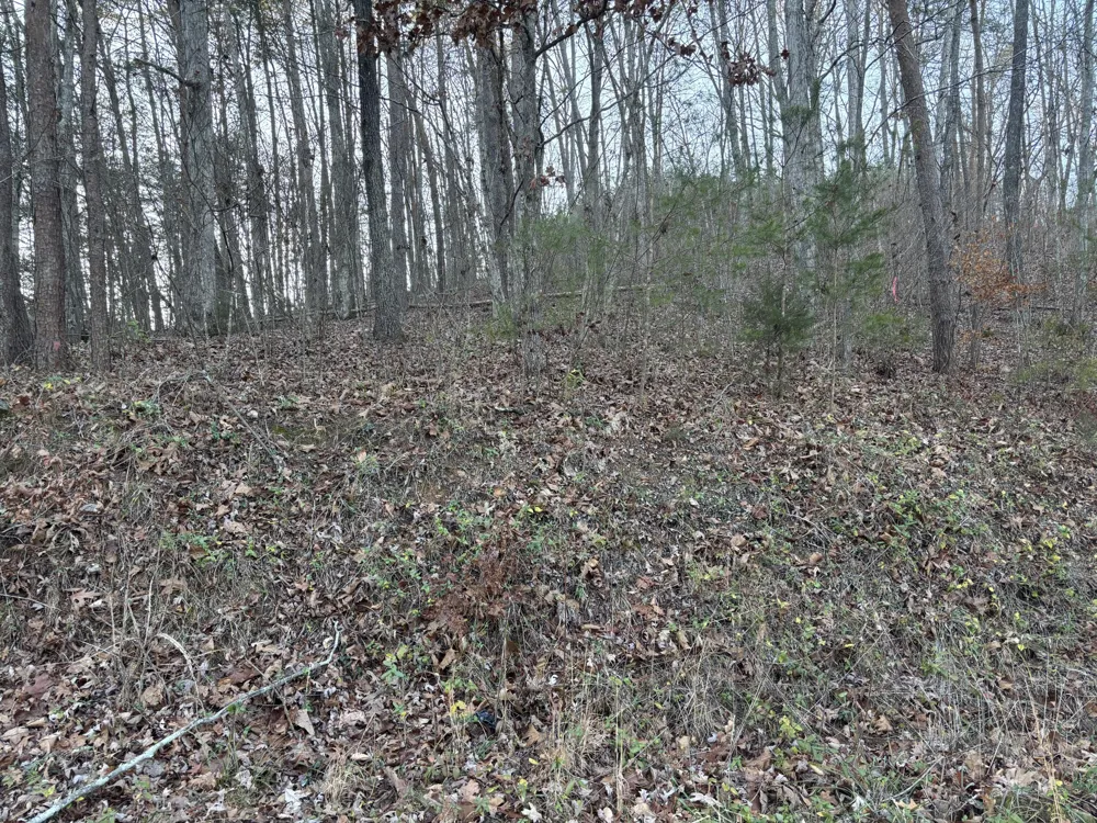 Twin Lakes Road LaFayette, GA 30728