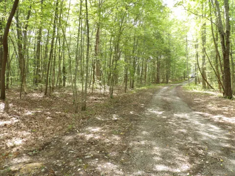 Maple Lane