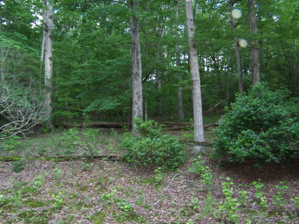1511 Monroe Green Road Trion, GA 30753