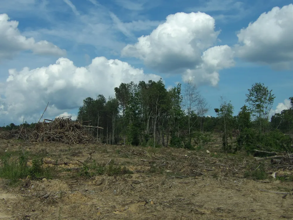 13 Summer City Road Evensville, TN 37332