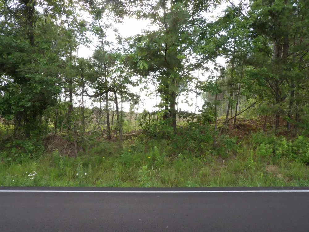 18 Summer City Road Evensville, TN 37332