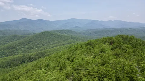 Little Mtn Rd Road