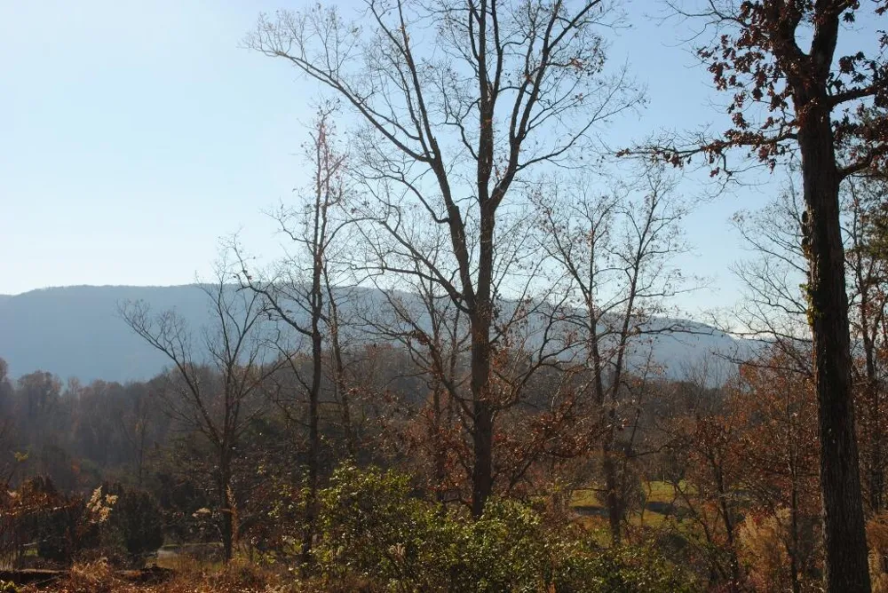 7 Lakeview Drive Rising Fawn, GA 30738