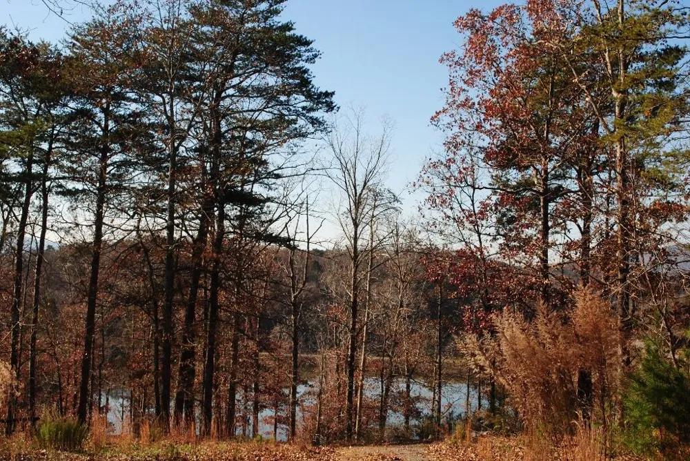 7 Lakeview Drive Rising Fawn, GA 30738