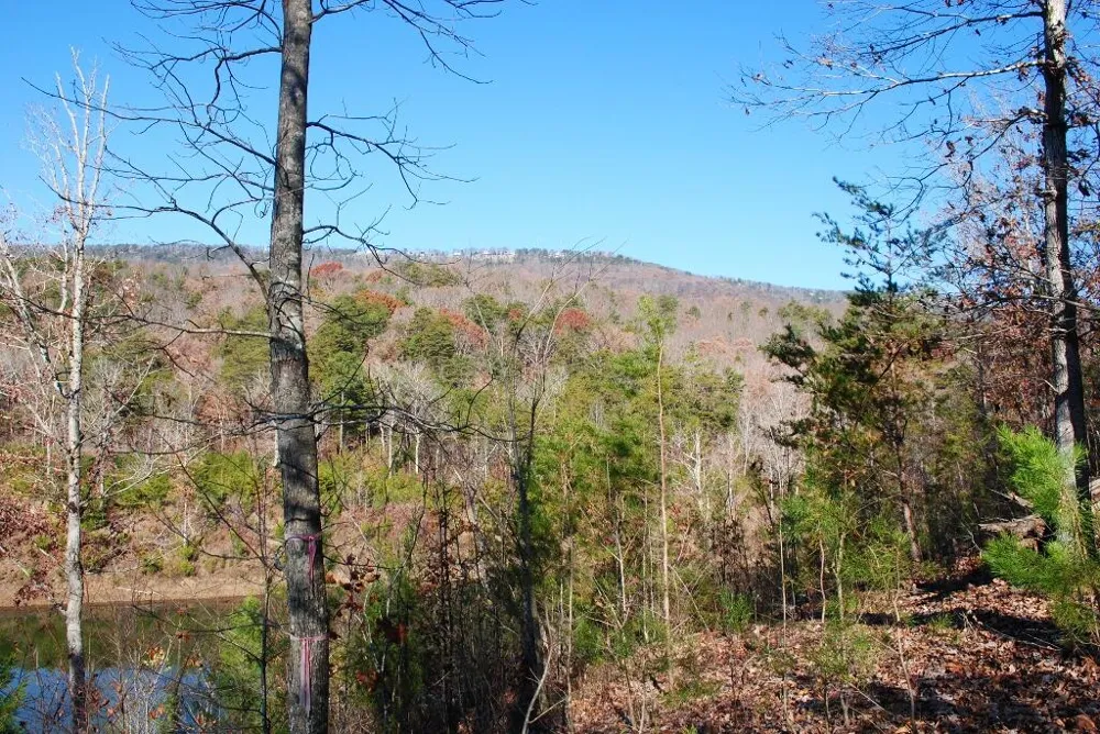 7 Lakeview Drive Rising Fawn, GA 30738