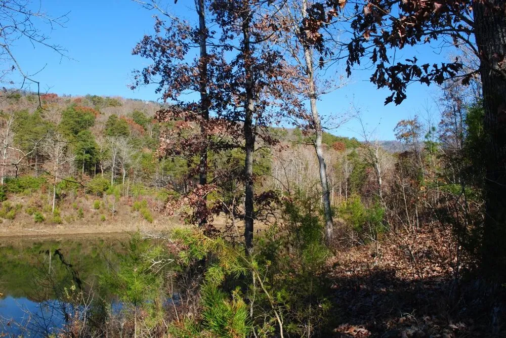7 Lakeview Drive Rising Fawn, GA 30738