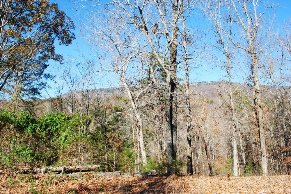 7 Lakeview Drive Rising Fawn, GA 30738