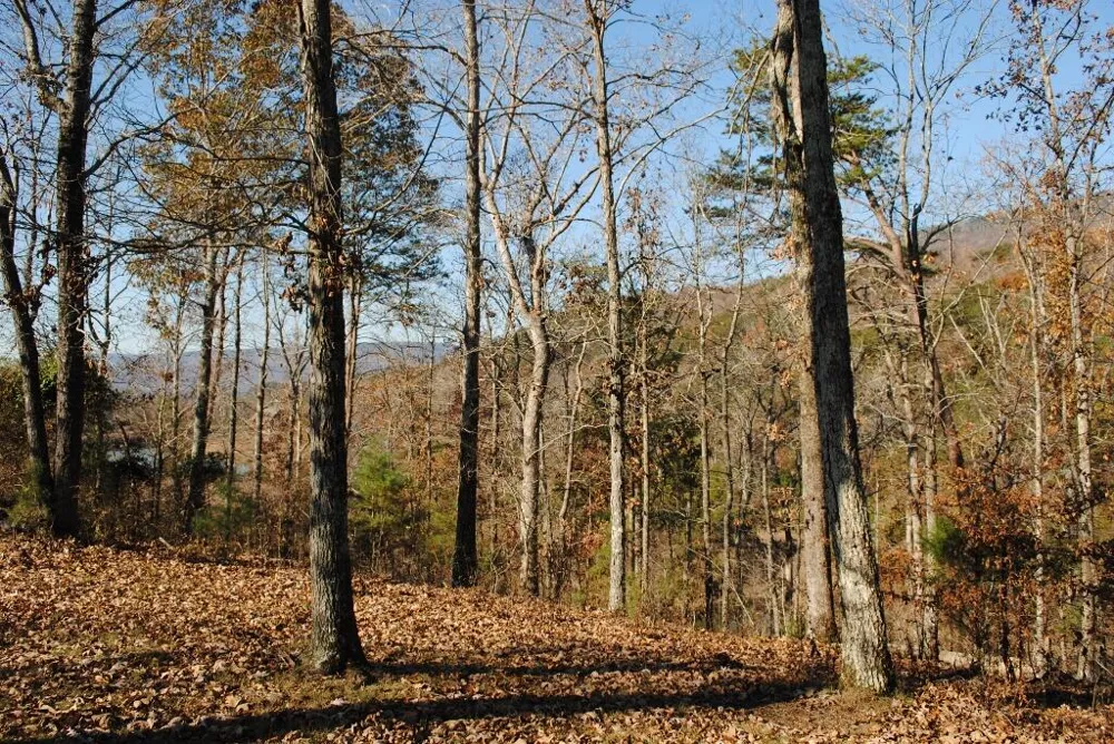8 Lakeview Drive Rising Fawn, GA 30738