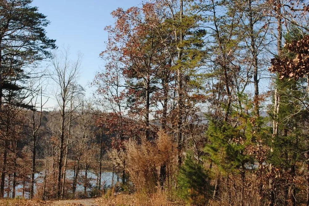 8 Lakeview Drive Rising Fawn, GA 30738