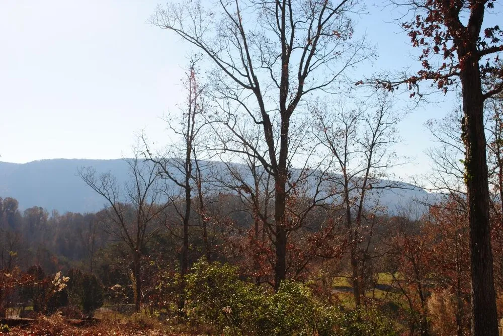 8 Lakeview Drive Rising Fawn, GA 30738