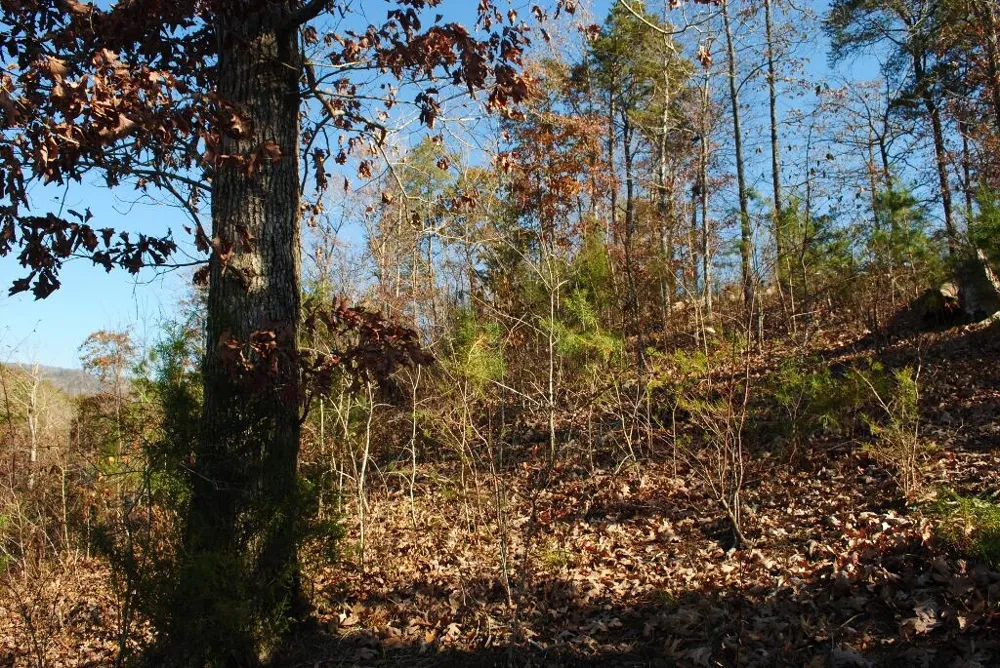 8 Lakeview Drive Rising Fawn, GA 30738