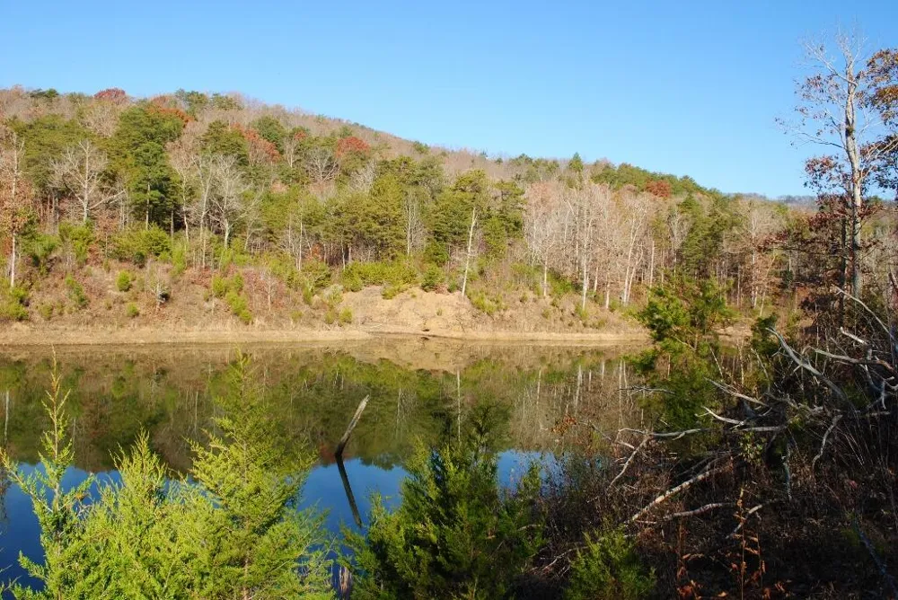 8 Lakeview Drive Rising Fawn, GA 30738