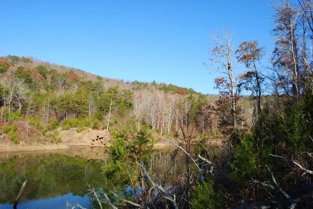 8 Lakeview Drive Rising Fawn, GA 30738