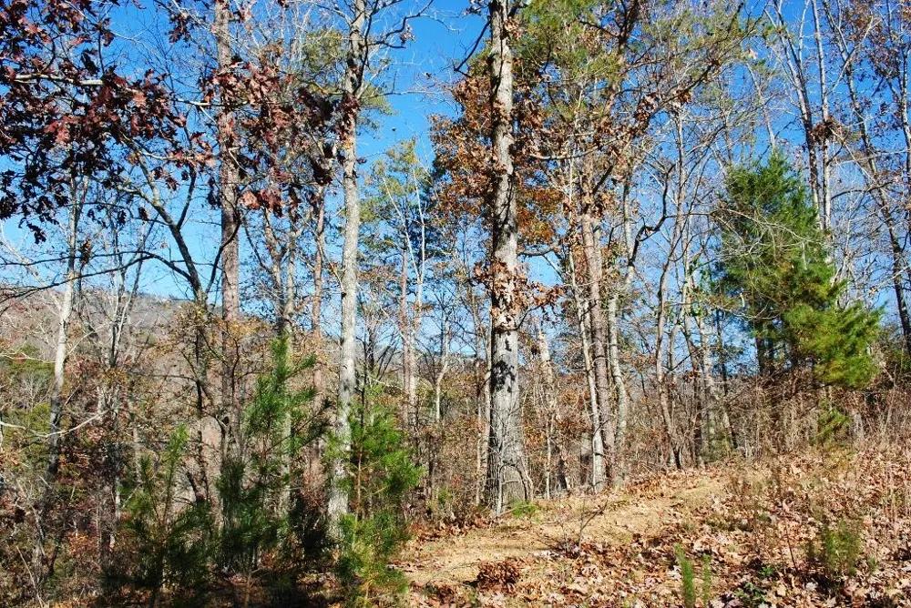 8 Lakeview Drive Rising Fawn, GA 30738