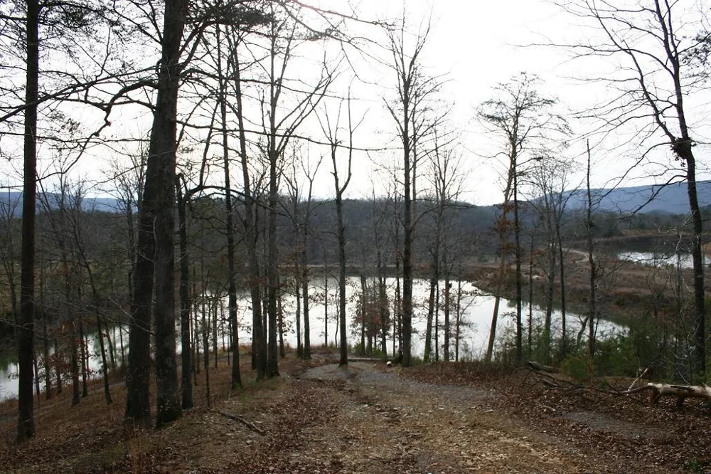 8 Lakeview Drive Rising Fawn, GA 30738