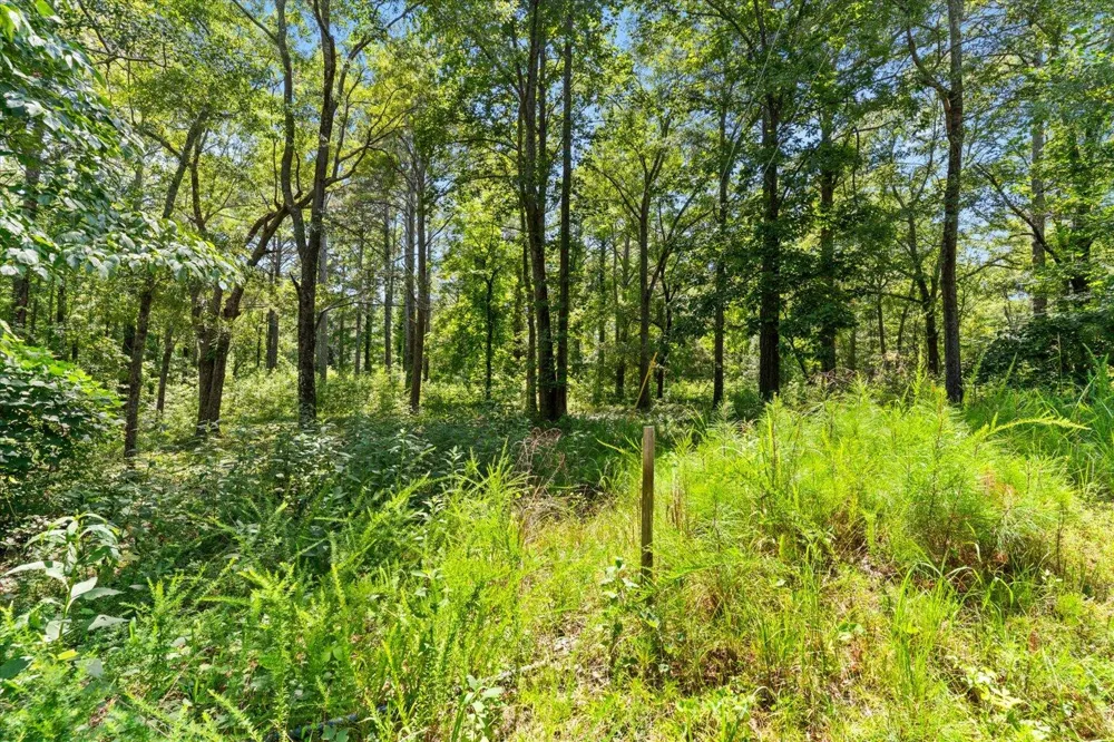 Sun Mountain Road Chatsworth, GA 30705