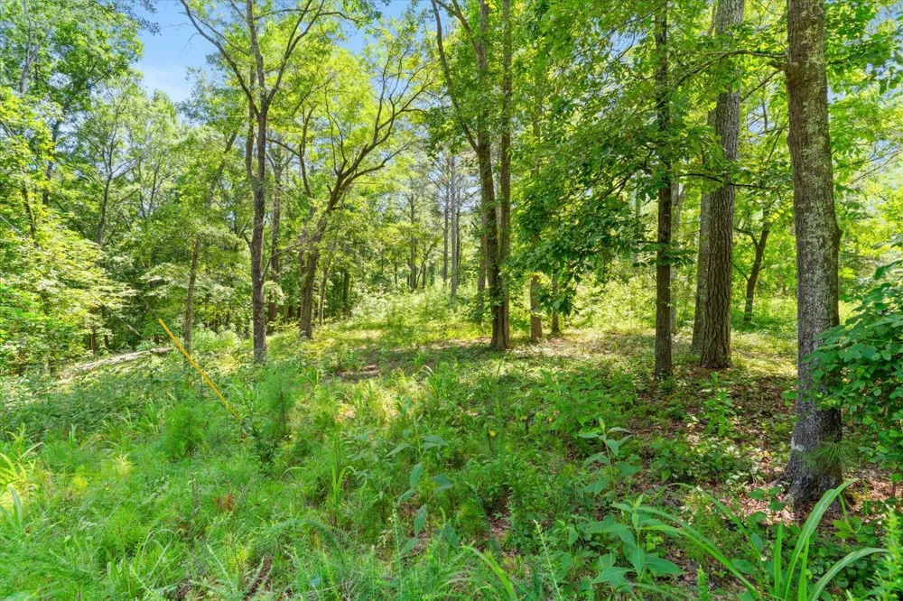 Sun Mountain Road Chatsworth, GA 30705