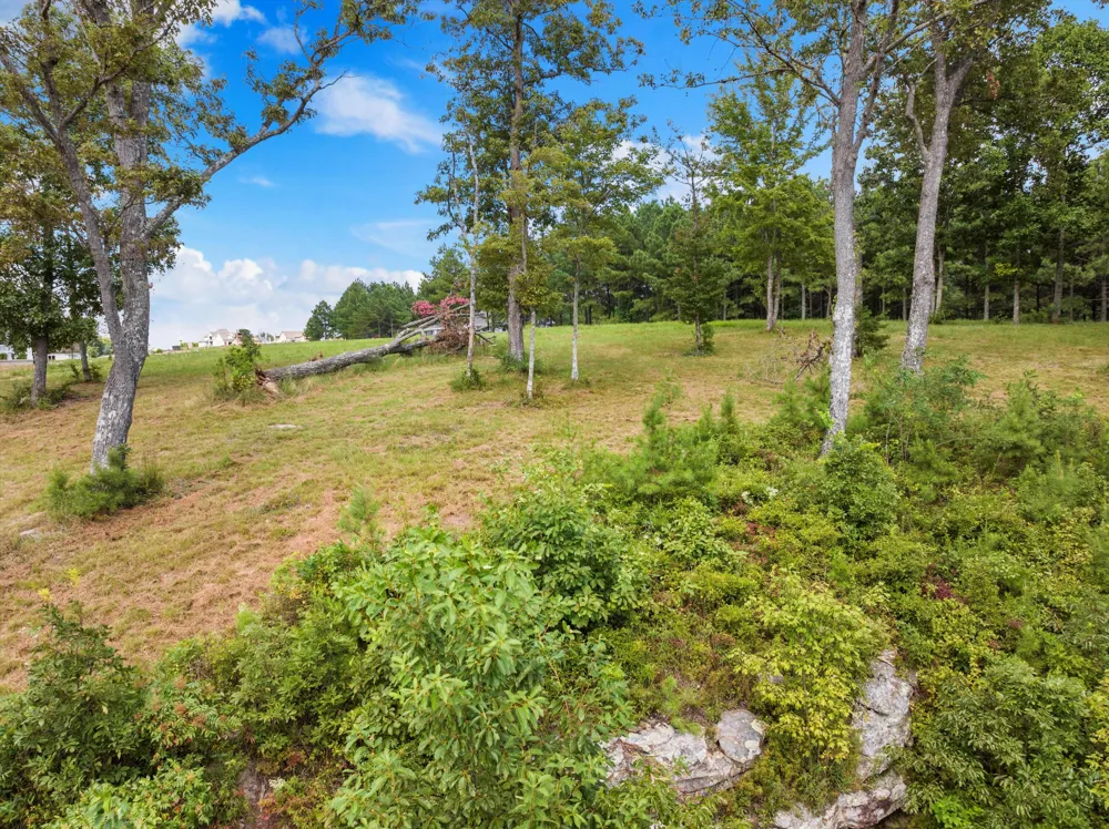 Bobcat Trail Jasper, TN 37347