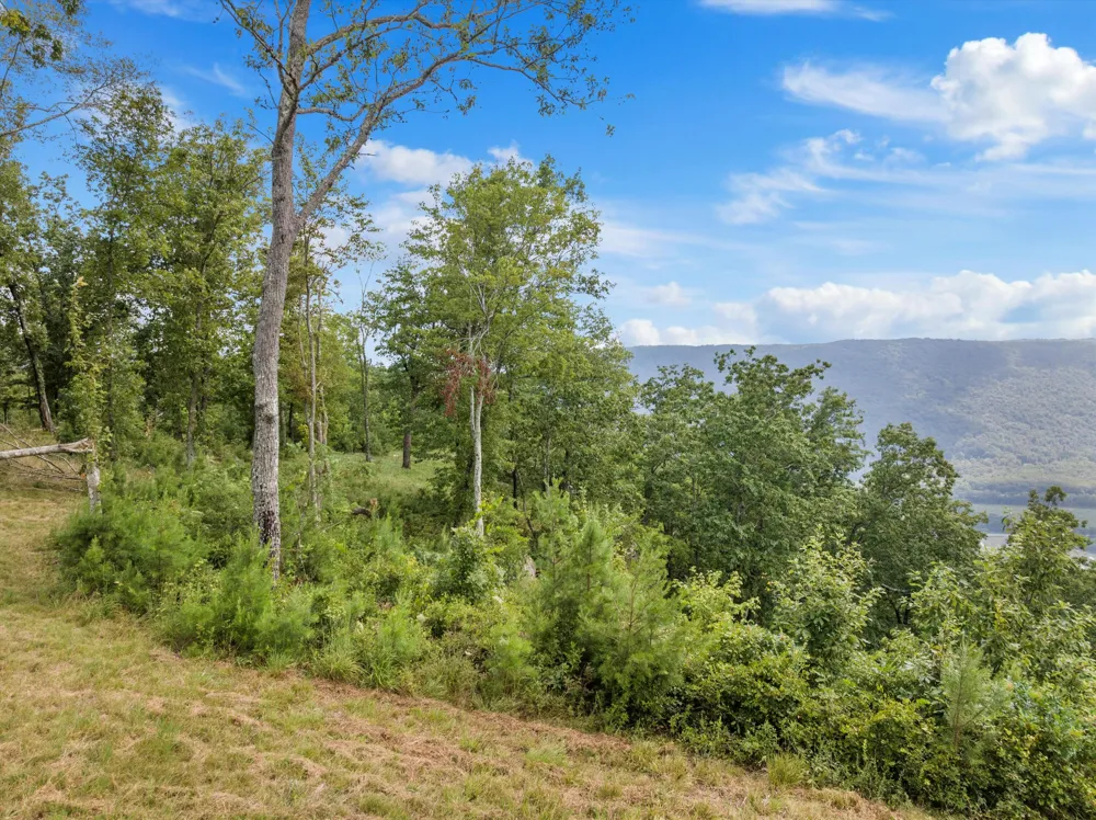 Bobcat Trail Jasper, TN 37347