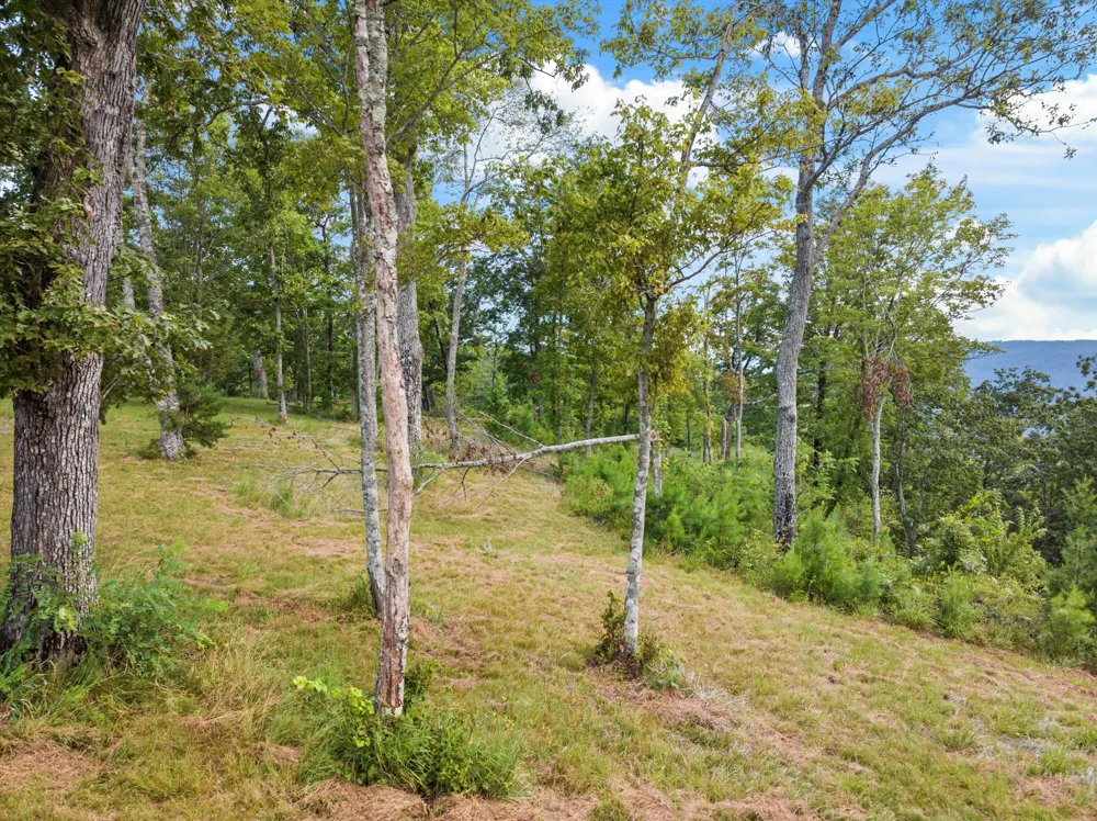 Bobcat Trail Jasper, TN 37347