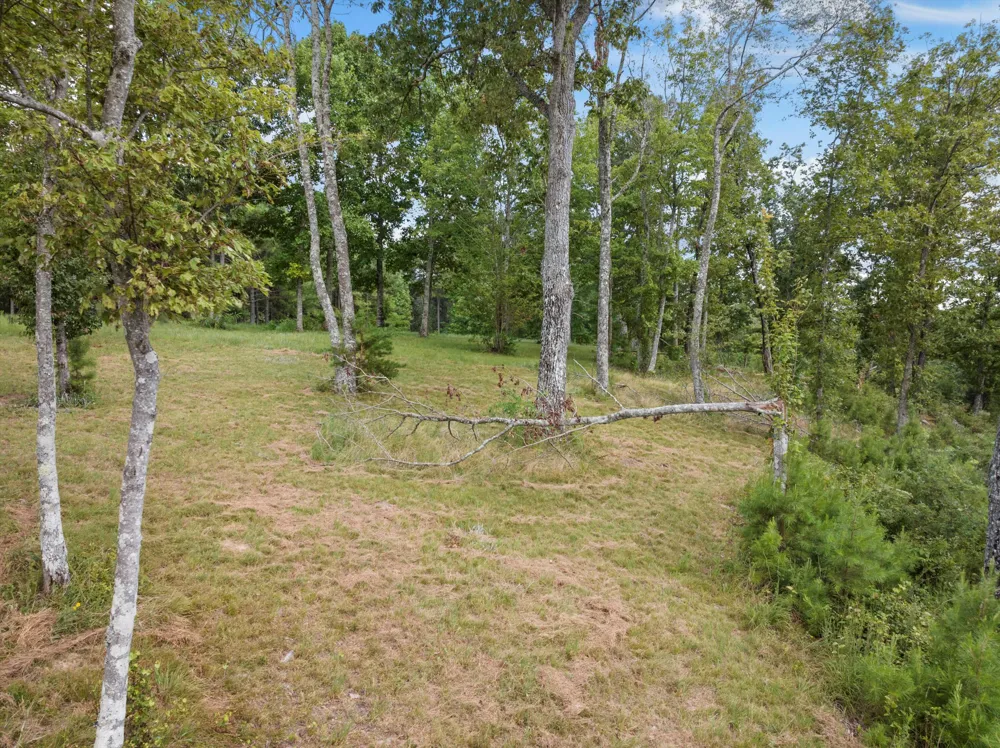 Bobcat Trail Jasper, TN 37347