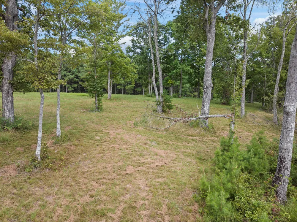 Bobcat Trail Jasper, TN 37347