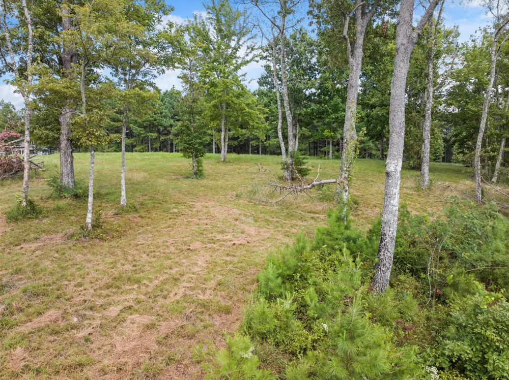 Bobcat Trail Jasper, TN 37347