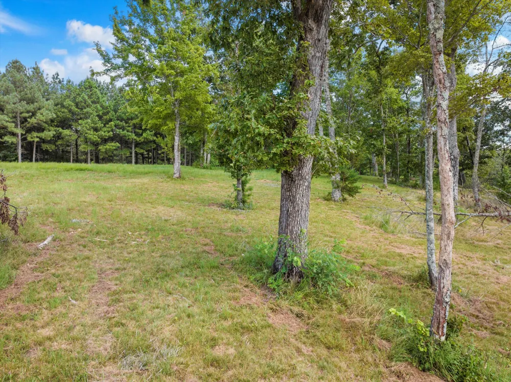 Bobcat Trail Jasper, TN 37347