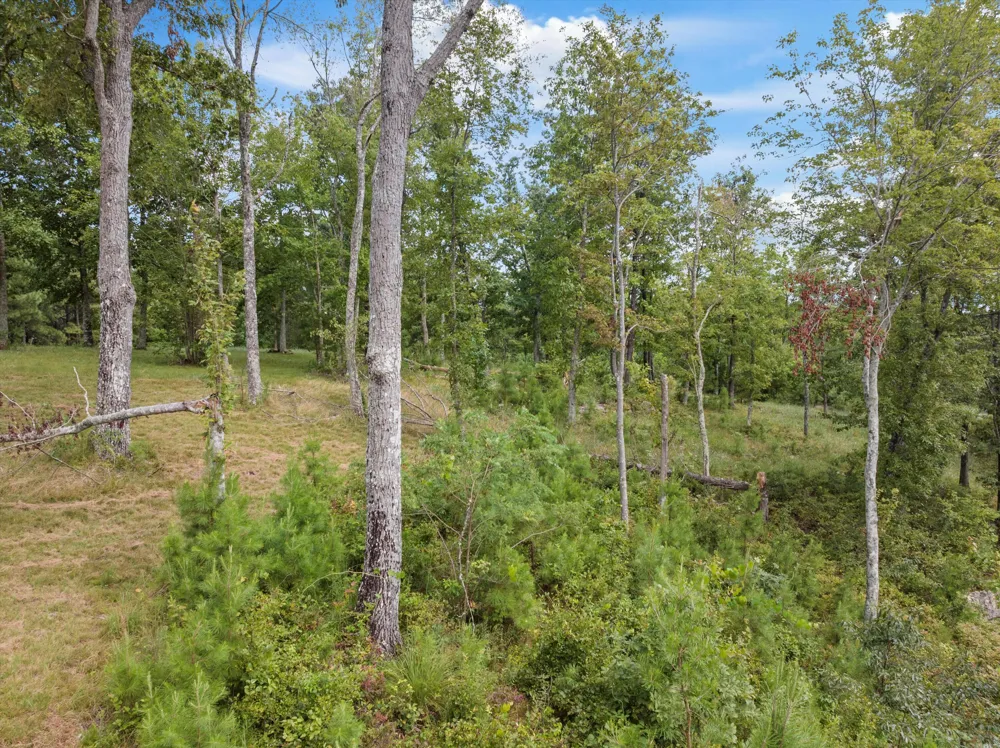 Bobcat Trail Jasper, TN 37347