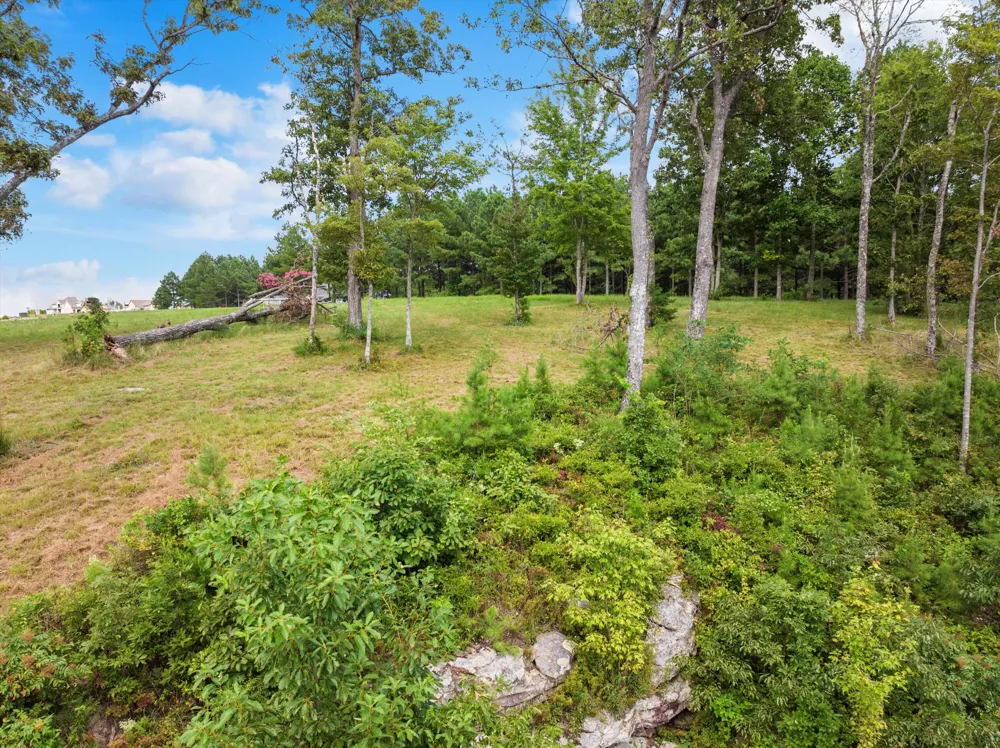 Bobcat Trail Jasper, TN 37347