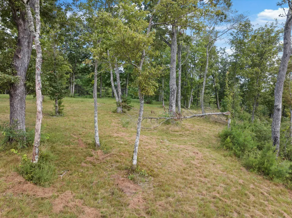 Bobcat Trail Jasper, TN 37347